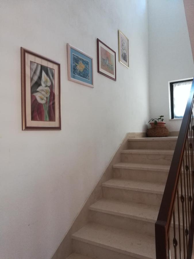 Apartments Tamara Локва-Рогозниця Екстер'єр фото
